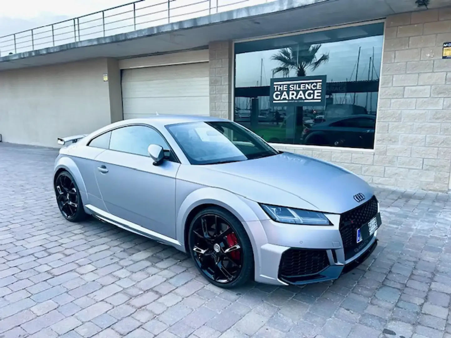 Audi TT RS Coupé (sidabrinė)