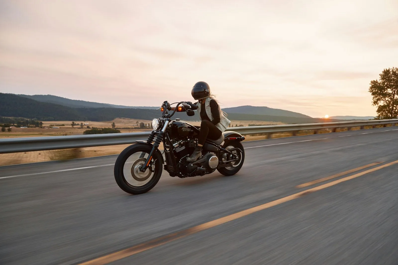 Harley-Davidson Sportster Iron 883 — nuotrauka 2